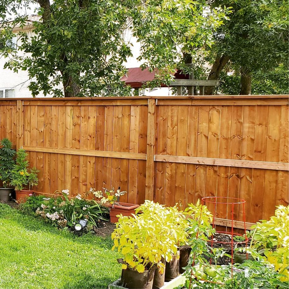 Wood Fence Contractors Near Me